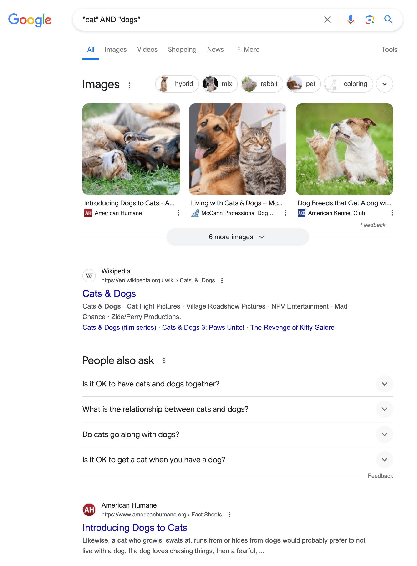 screenshot of a google search result for "cat AND dogs"